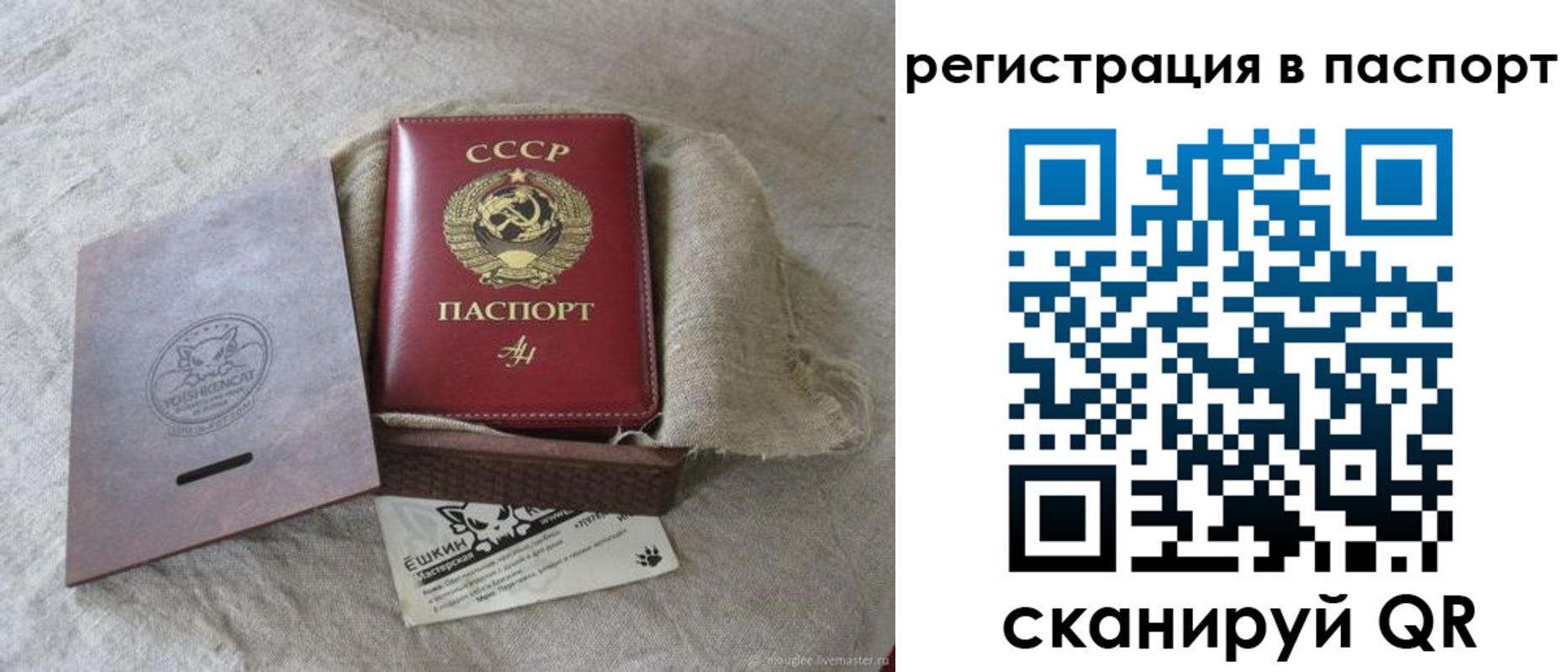 прописка регистрация в Курганской области